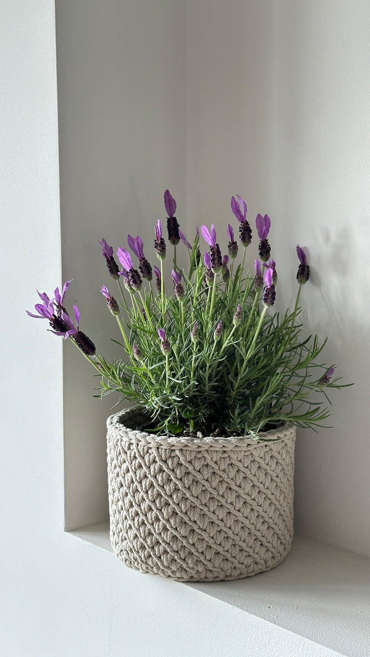 Basket with a Wooden Base